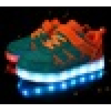 Unisex USB de carga baja corte LED patines de skate ligero para los niños